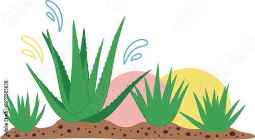 Green Aloe Vera Plants with Soil and Colorful Abstract Shapes for Botanical, Herbal, and Skincare Design Projects