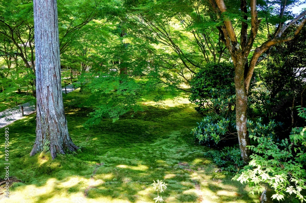 Obraz premium 京都、瑠璃光院の風景