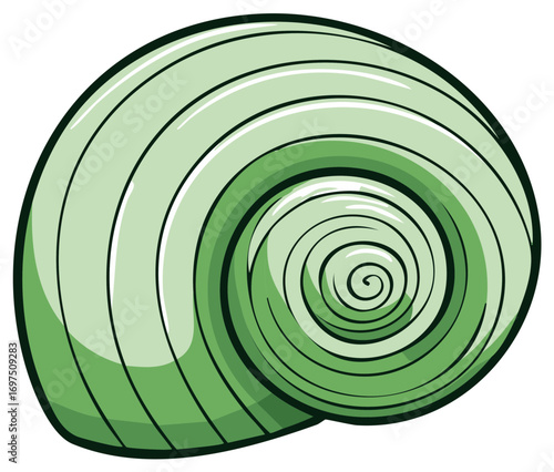 Elegant Green Seashell Cartoon: Seashells Beach Finds Nautical Theme Spirals
