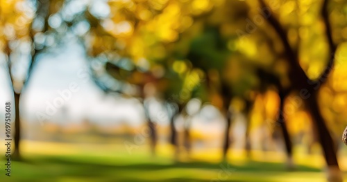 Defocused park view, featuring trees with golden leaves and sunny lawn. Peaceful & serene, with light airy atmosphere, ideal for background use
