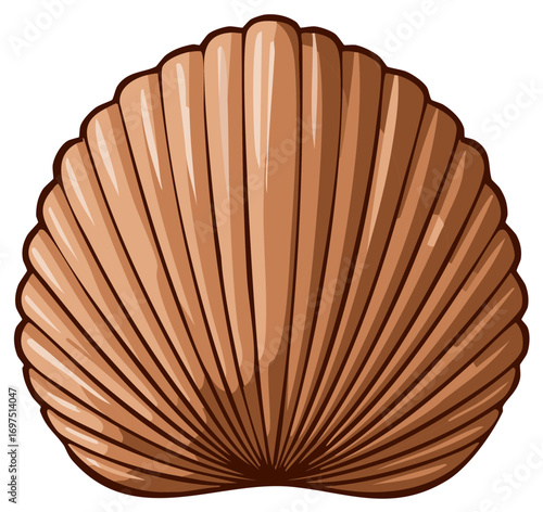 Illustration of a brown scallop seashell with radiating lines and a subtle sheen