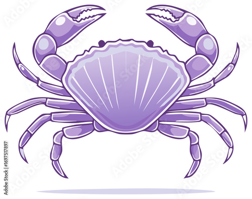 Cartoon Crab: Purple Shell and Claws, Marine Life Illustration