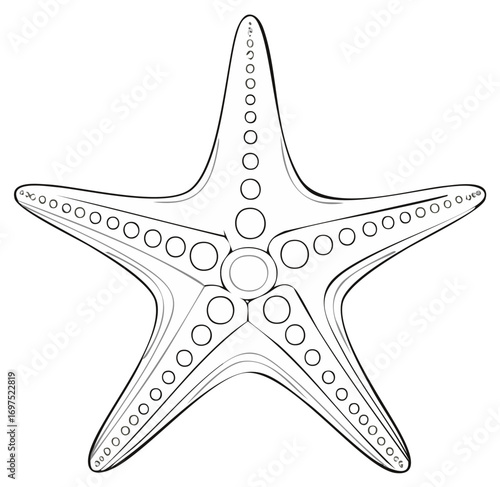 Minimalist line art illustration of a five armed starfish aquatic animal with decorative circular patterns
