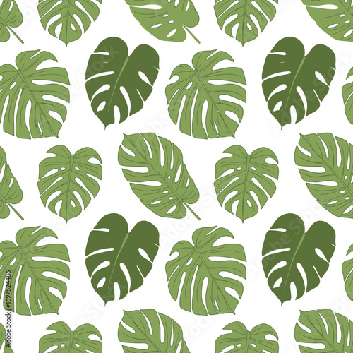Trendy monstera leaf pattern for vibrant designs, lush tropical print evokes natural beauty and freshness