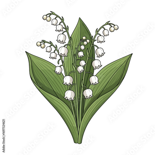 Elegant lily of the valley bouquet, perfect for wedding invitations or spring greetings