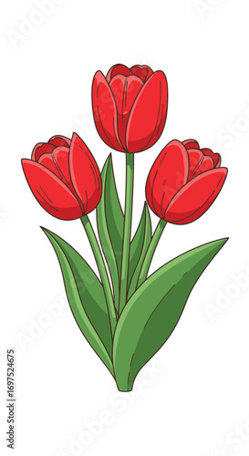 Elegant red tulips bring spring joy, perfect for heartfelt greetings and charming floral designs