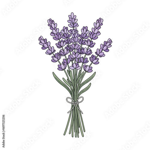 Elegant hand-drawn lavender bouquet design for springtime projects and botanical themes, a vector graphic