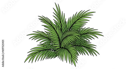 Lush green palm fronds bring tropical vibes to your designs, easily scalable as original vector art