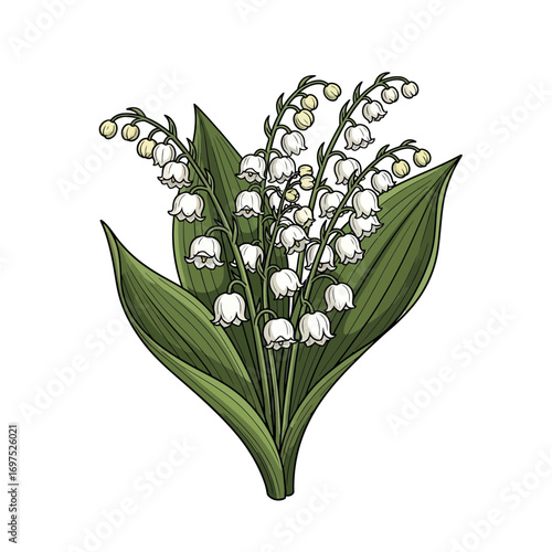 Elegant lily of the valley bouquet brings spring freshness and floral beauty to your designs