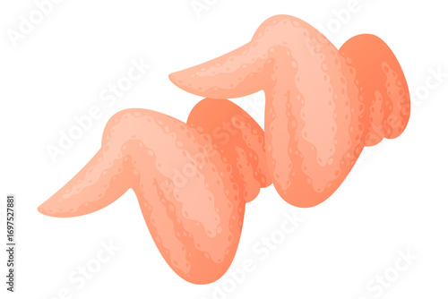 Chicken Wing as Meat Product and Food Item from Butchery Shop Vector Illustration