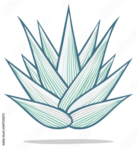 Elegant stylized blue agave plant illustration with line art perfect for tequila or mezcal logos and branding
