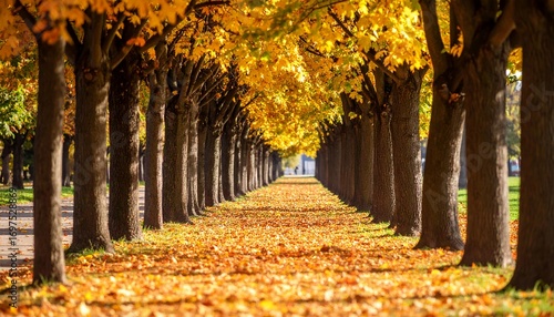 Golden Autumn Tree Avenue Nature Path