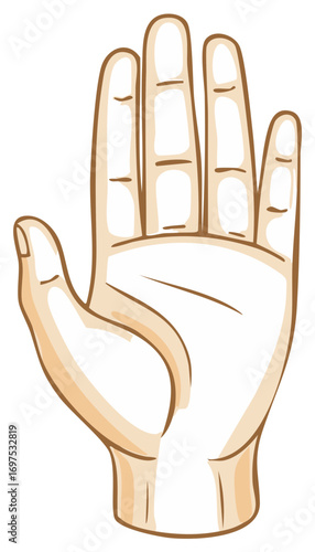 Illustrated Open Hand Gesture Showing Palm and Fingers in a Communicative Way