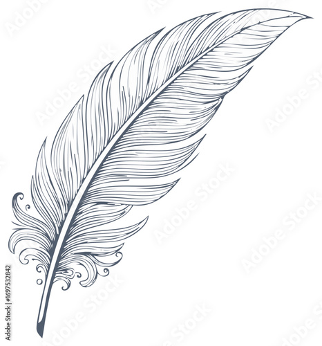 Elegant Feather Pen Quill Vintage Graphic Illustration Decorative Writing Tool