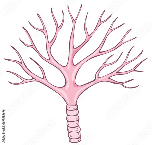 Human Bronchial Tree Illustration with Delicate Pink Tones, Anatomical Pulmonary System for Healthcare and Education Visuals