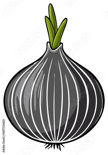 Dark grey onion with green sprouting leaves and root threads isolated on white background