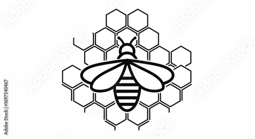 A honeybee in the center of a honeycomb.