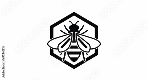 Detailed Bee Illustration with Hexagon Honeycomb Background in Black and White.