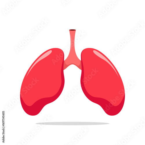 Human Lungs Anatomy Vector Illustration