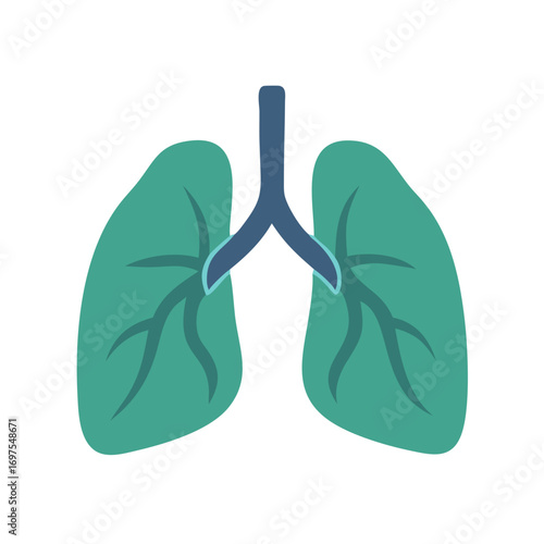 Human lungs illustration in flat design on black background