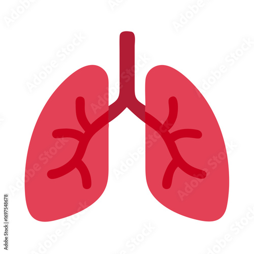 Illustration of human lungs on a solid black background