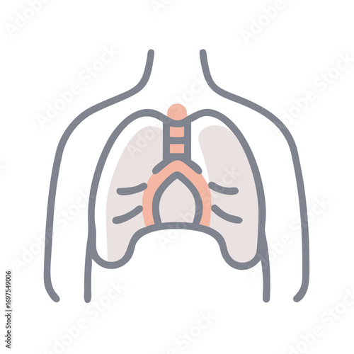 Human lungs diagram showing trachea and chest cavity outline