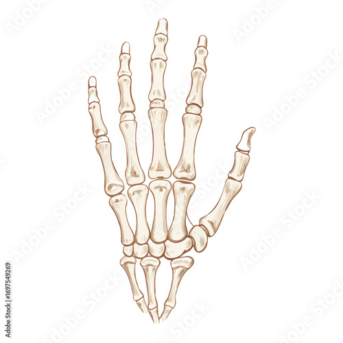 Skeleton hand illustration on black background for Halloween theme