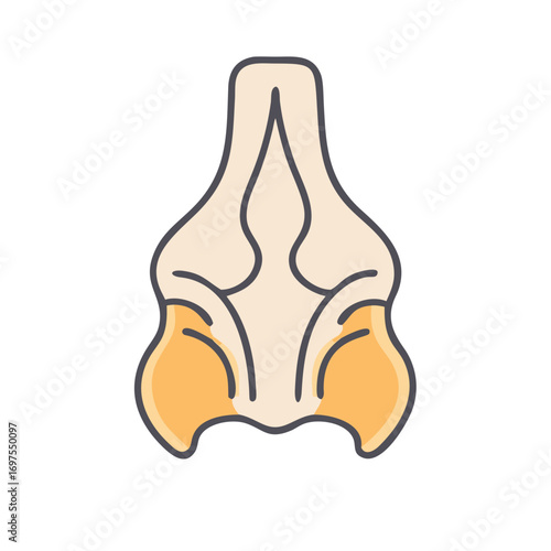 Stylized bone illustration with soft colors on black background