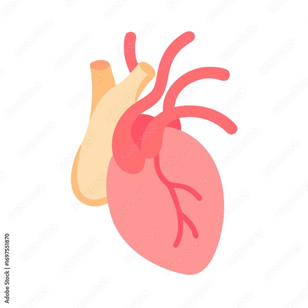 Obraz premium Stylized human heart illustration with veins on black background