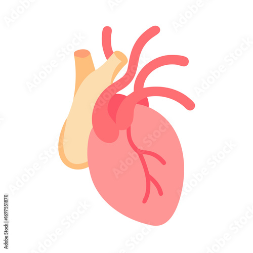 Stylized human heart illustration with veins on black background