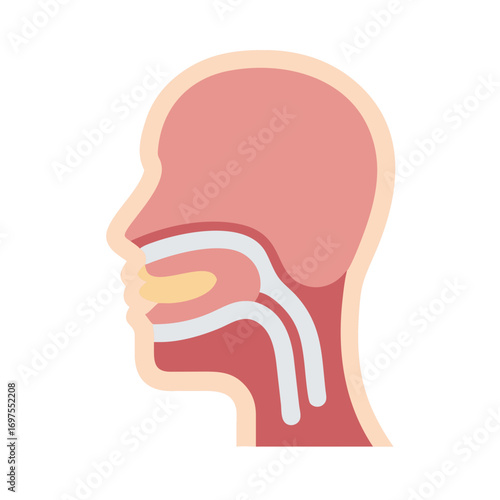 Human head anatomy graphic featuring throat airway and tongue