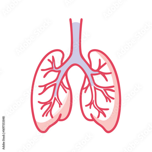Lung graphic illustration showing airway branching on black background