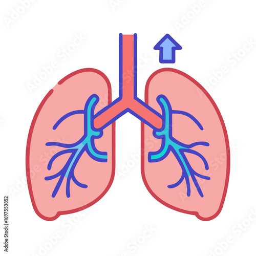 Stylized illustration of human lungs with upward pointing arrow