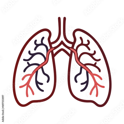 Stylized lung illustration displaying human respiratory system concept