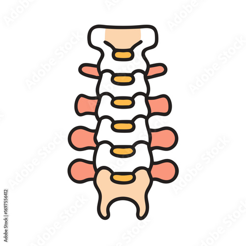Cervical spine vector illustration showcasing anatomy on black background