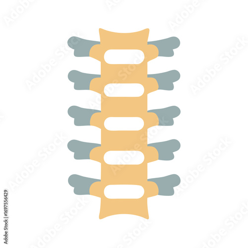 Stylized spine illustration against a black background