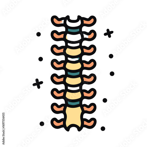 Detailed spine anatomy illustration against a solid black background