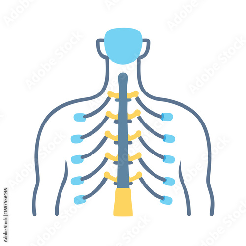 Human nervous system vector illustration on black background