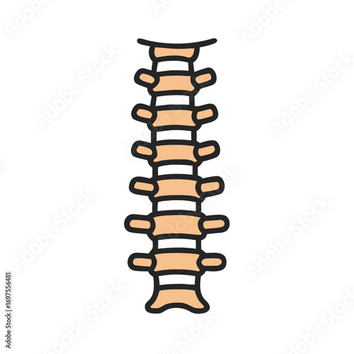 Spinal column illustration against a stark black background