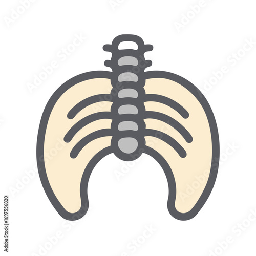 Human rib cage and spinal column graphic representation