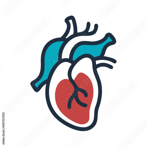 Human heart illustration in flat style on black background