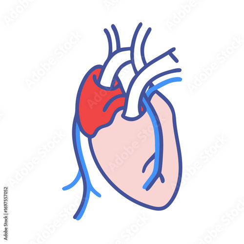 Cartoon illustration of human heart anatomy on black background