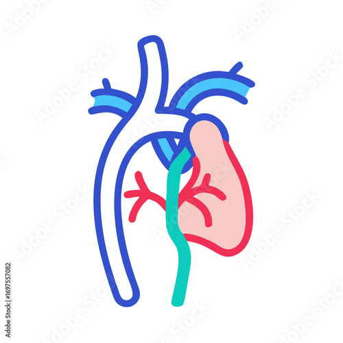 Stylized heart illustration with aortic vessels and pulmonary artery