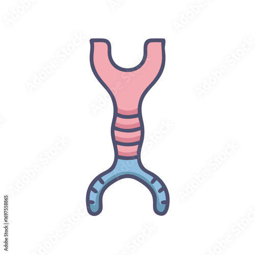 Stylized anatomical airway illustration with trachea and bronchi depiction