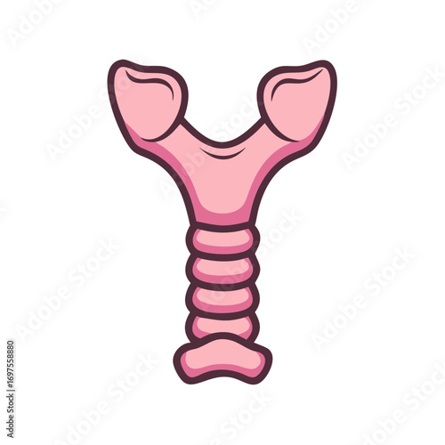 Stylized thyroid gland illustration in pink on black background