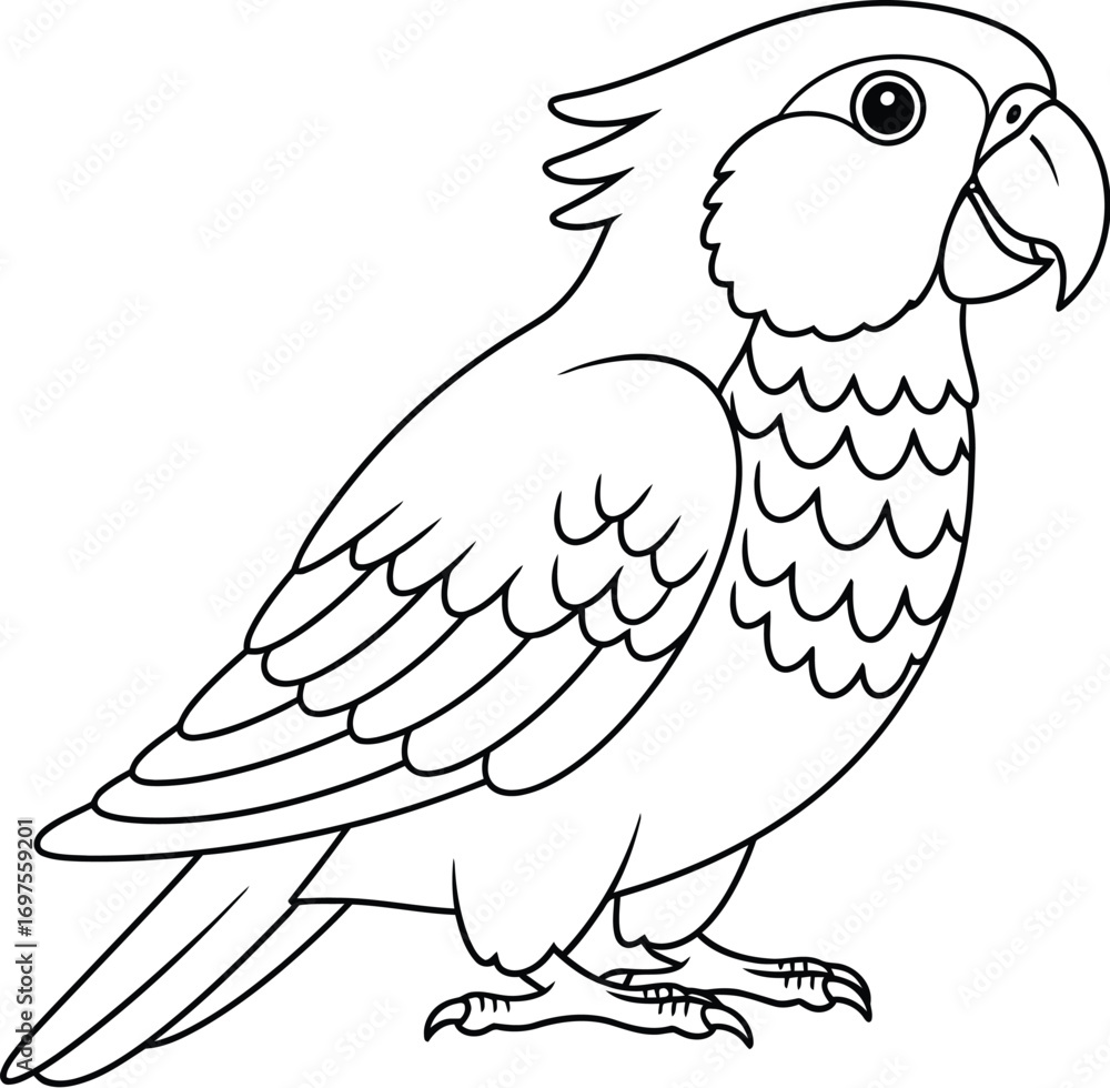 Obraz premium Friendly parrot illustration, perfect for children's books and playful designs.