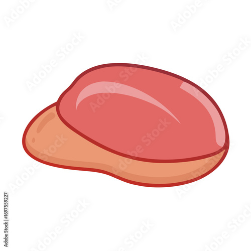 Stylized liver organ anatomical illustration on a dark background