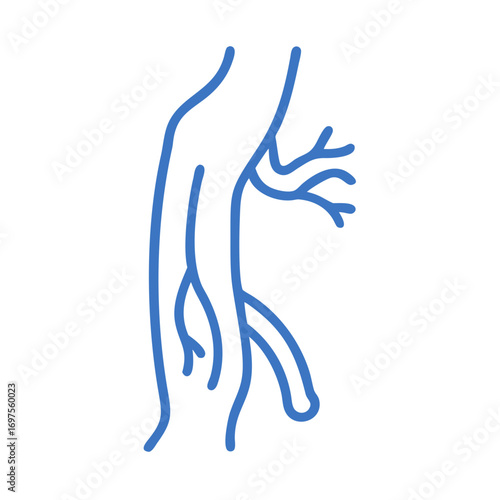 Abstract blue vascular system illustration on a black background