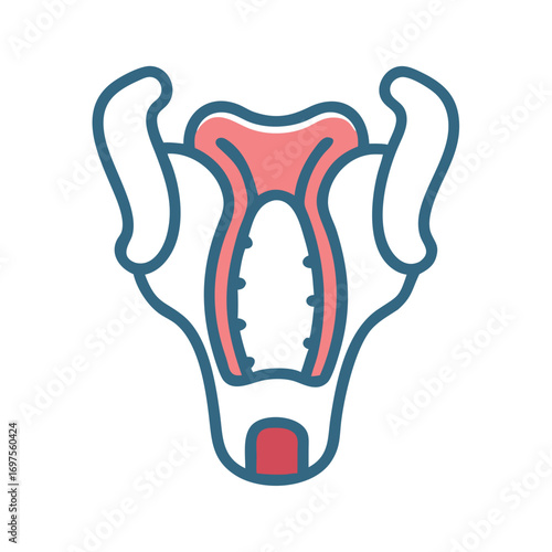 Stylized anatomical illustration showcasing uterus and adjacent structures