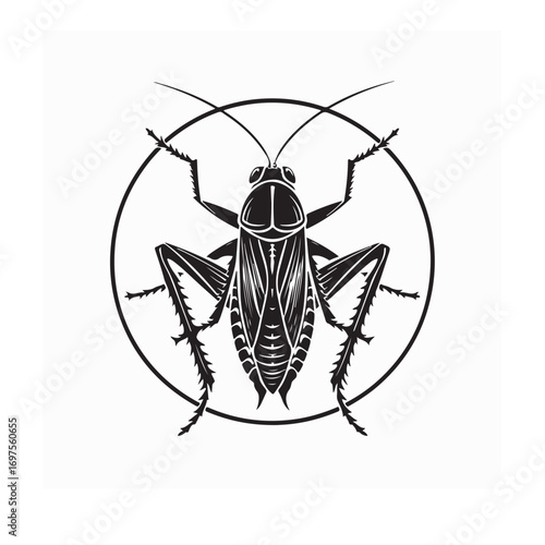 Black and White Vector Illustration of Cockroach Insect Isolated on White Background